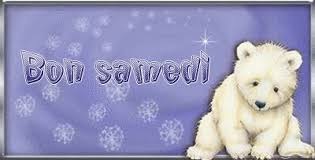 Résultat de recherche d'images pour "gif animaux samedi"