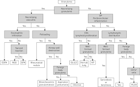Granulomatous pneumonitis is caused by exposure to several respirable metal particles including copper. Differential Diagnosis Of Granulomatous Lung Disease Clues And Pitfalls European Respiratory Society