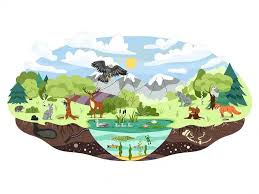 Image result for Science Environment Education