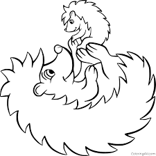 Baby hedgehog smiling colouring pages coloring page to color print and download for free along with bunch of favorite hedgehogs coloring page for kids. Hedgehog Playing With Her Baby Coloring Page Coloringall