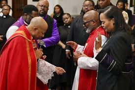 Image result for Felicia grantii