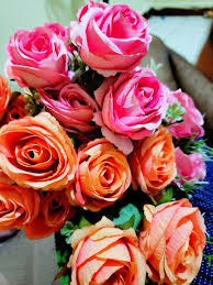 Meiosis gizmo answer key : Dayax Dalnuurshe Pa Twitter Waxaan U Mahadcelinayaa Xaaskeyga Aan Jecllhy Farax Abdirahim Oo Maanta Hadiyad Ahaan Iigu Keentay 4ta Sheey Een Ugu Jecllhy Oo Ah Perfonkii Ugu Horeyay Ee Hbnka Aan Isbaranay Isiisay One Love Buugaag