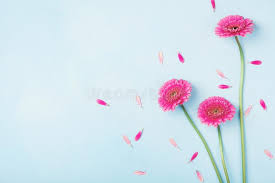 High quality flowers images, illustrations, vectors perfectly priced to fit your project's budget from bigstock. 4 564 153 Flowers Photos Free Royalty Free Stock Photos From Dreamstime