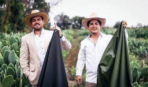 Two Guys In Mexico Just Created Vegan Leather From Cactus Vegan Leather Leather Industry Organic Leather