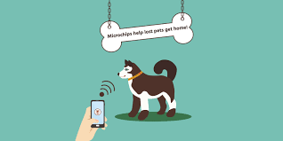 Pet chip registry registers and displays contact information for all brands of microchips and frequencies. Microchipping And Registration Of Your Pet At The Ark Veterinay Hospital