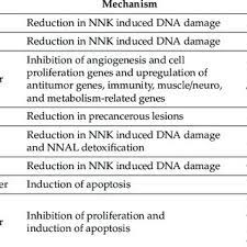 Pdf Kava As A Clinical Nutrient Promises And Challenges