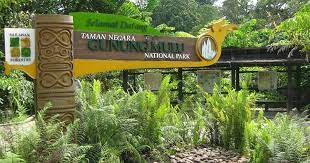 Negara bagian malaysia, sarawak yang berada berbatasan langsung dengan indonesia tepatnya di pulau kalimantan. 3 Taman Negara Yang Anda Perlu Kunjungi Jika Pergi Ke Sarawak