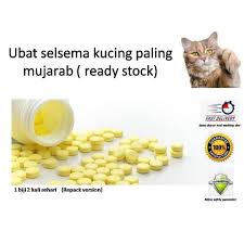 Asyik tak sihat saja sejak hamil ini! Ubat Selsema Kucing