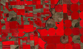 Image result for tbn:SQJ1tCP2zcLTgM::www.cbc.ca/news/background/toronto-bomb-plot/gfx/raza-060605.jpg