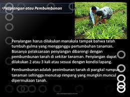 Bagian 2 (design requirement or hows) bagian ini merupakan bahasa teknis dari perusahaan untuk menyusun desain perbaikan produk atau jasa yang umumnya merupakan gambaran teknis dari kebutuhan dan keinginan konsumen pada bagian 1.3. Teknik Budidaya Tanaman Agronomi Ppt Download