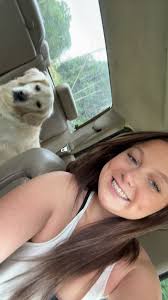 Anyone around here need a pet sitter, walker, trainer (basic obedience or  tricks), etc I'm open! Trying to hussel while I'm in the middle of jobs. I  have experience in all animals.