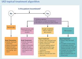 Incontinence Associated Dermatitis Management Update