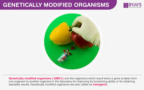 We did not find results for: Genetically Modified Organisms An Overview And Its Applications