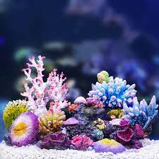 Maybe you would like to learn more about one of these? Resin Artificial Coral Aquarium Decoration Fish Tank Coral Reef Ornament Stone Coral Flower Decor Aquarium Background 15 Styles Decorations Aliexpress