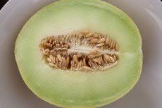The basic concept grew out of work on the project orion spaceship concept, which studied nuclear shaped charges. Honeydew Melon Origins Consumption Nutrition Facts Health Benefits