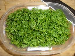 Viele weitere infos zu diesem thema und viel mehr auch auf grillwelt.bbq24.de. Krauter Einfrieren Dottikocht