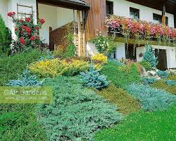 Auch pollerleuchten sind eine mögliche lösung. Garten Gemischt Hang Stock Photo By Nova Photo Graphik Image 0937496