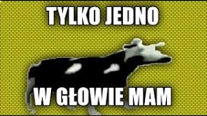 Tylko Jedno W Glowie Mam Polish Cow Know Your Meme Tylko jedno w glowie mam. tylko jedno w glowie mam polish cow