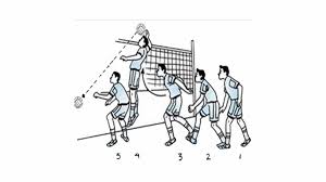 Contoh dari gerak manipulatif pada olahraga bola voli. Permainan Bola Voli Peraturan Teknik Posisi Dan Sejarah