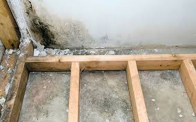 We did not find results for: What Kind Of Damp Is Affecting My Home Which