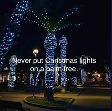 Why you don't put christmas lights on a palm tree (original post) rc: Always Put Christmas Lights On Palm Trees Emkay