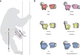Sunnybee onlyfans sex fantastic attitude, very