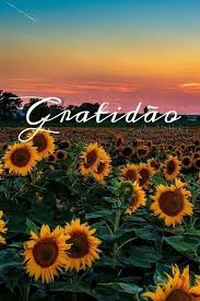 Papel De Parede Imagens Bonitas Compartilhe nas redes sociais usando os botões abaixo e nos ajude a divulgar o site. papel de parede imagens bonitas