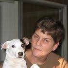 Sapos y ranas, ilustraciones para manualidades