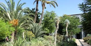 Hat über die wintermonate geschlossen! Die Garten Von Marrakesch Der Sonnenklar Tv Reiseblogder Sonnenklar Tv Reiseblog