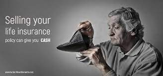 Check spelling or type a new query. Sell My Life Insurance Policy For Cash Insurance Policy Life Insurance Policy Buy Life Insurance Online