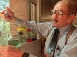 National Sea Monkey Day: How to celebrate in Central Florida