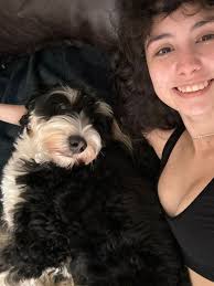 Pet Boarding in Santa Monica, Santa Monica