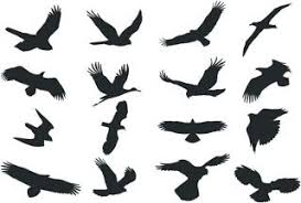 Birds Of Prey Logo Vector Cnc World Free Bird Silhouette Dxf Flying Bird Silhouette Silhouette Vector Bird Silhouette