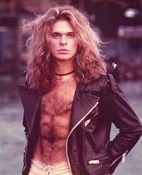 In addition to his work with van halen, roth is a successful solo artist. Lorenzo Dominik Eli Channel Rock Edge For Emporio Armani Campaign David Lee Roth Van Halen David Lee