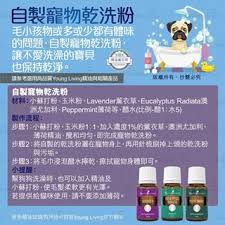 kaleidodrops 精油萬花筒 kaleidodrops instagram 照片和视频 essential oils oils convenience store products