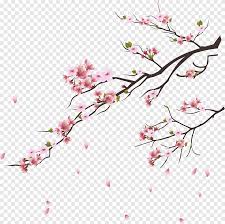 Check spelling or type a new query. Cherry Blossom Tsukasa Of Tokyo Branch Pink Cherry Blossoms Pink Cherry Blossoms Illustration Twig Flower Png Pngegg