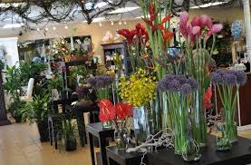 Beneva Flowers In Sarasota Fl Tropical Florist Same Day Flower Delivery Flower Delivery Flowers