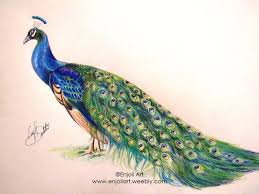 In this video you will learn a simple, colorful peacock drawing. 40 Most Popular Peacock Free Hand Drawing Easy With Colour The Campbells Possibilities