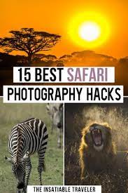 All You Need To Know Photography Tips For A Safari Adventure Safari Photography Safari Travel Africa Travel