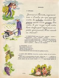 Segelle Corbeille De Mots Ce Et Cm Vocabulaire Et Langage Vocabulaire Langage Grammaire Ce1