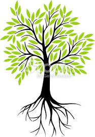 Leaf trees forest family tree flower wood three leaves christmas tree nature house branch tree of life tree silhouette grass tree roots. Olive Tree With Roots Tree Illustration Roots Illustration Tree Drawing
