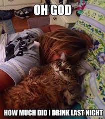 25 Hangover Memes That Are Way Too True Sayingimages Com Funny Cat Pictures Funny Cute Cats