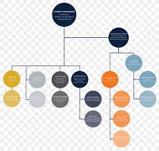 Organizational Chart Organizational Structure Division Png