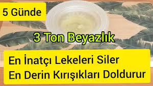 5 Gunde En Inatci Koyu Lekeleri Cilleri Silen Kirisik Doldurucu Kremsi Bugulama Patlican Maskesi Sok Youtube Dogal Akne Tedavisi Yuz Maskeleri Cilt Urunleri