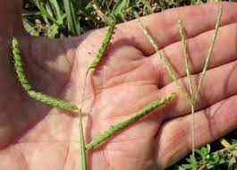 Pin On Outdoors