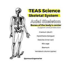 Chemistry final exam 2021 quizlet / kcse past pape. Quizlet 11 Organ Systems In 2021 Organ System Flashcards Study Tools