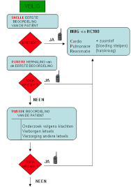 Algemene informatie, inschrijven reanimatie + aed herhaling nr. Https Www Health Belgium Be Sites Default Files Uploads Fields Fpshealth Theme File Hoofdstuk 4 De Gewonde Patient Pdf