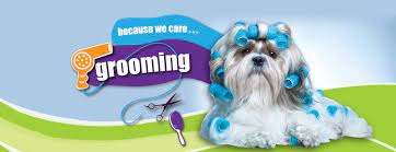 Volunteer with friends of upland animal shelter; Animal House Pet Shop Home Facebook