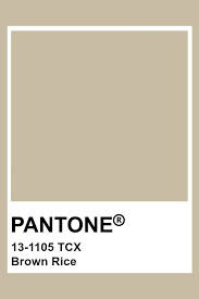 Pantone 13 1105 Tcx Brown Rice Pantone Color Neutral Pantone Colour Palettes Pantone Color Chart Pantone Color