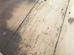 Wood flooring can be protected by sealing the surface and/or treating it with borate insecticide during powderpost beetles (see what are powderpost beetles?) lay their eggs on the bare wood. Cleaning Beetle Tracks In Wooden Floor During Sanding Home Improvement Stack Exchange